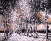 /album/galleria-fotografica/viale-di-sera-fo-010-371-jpg/